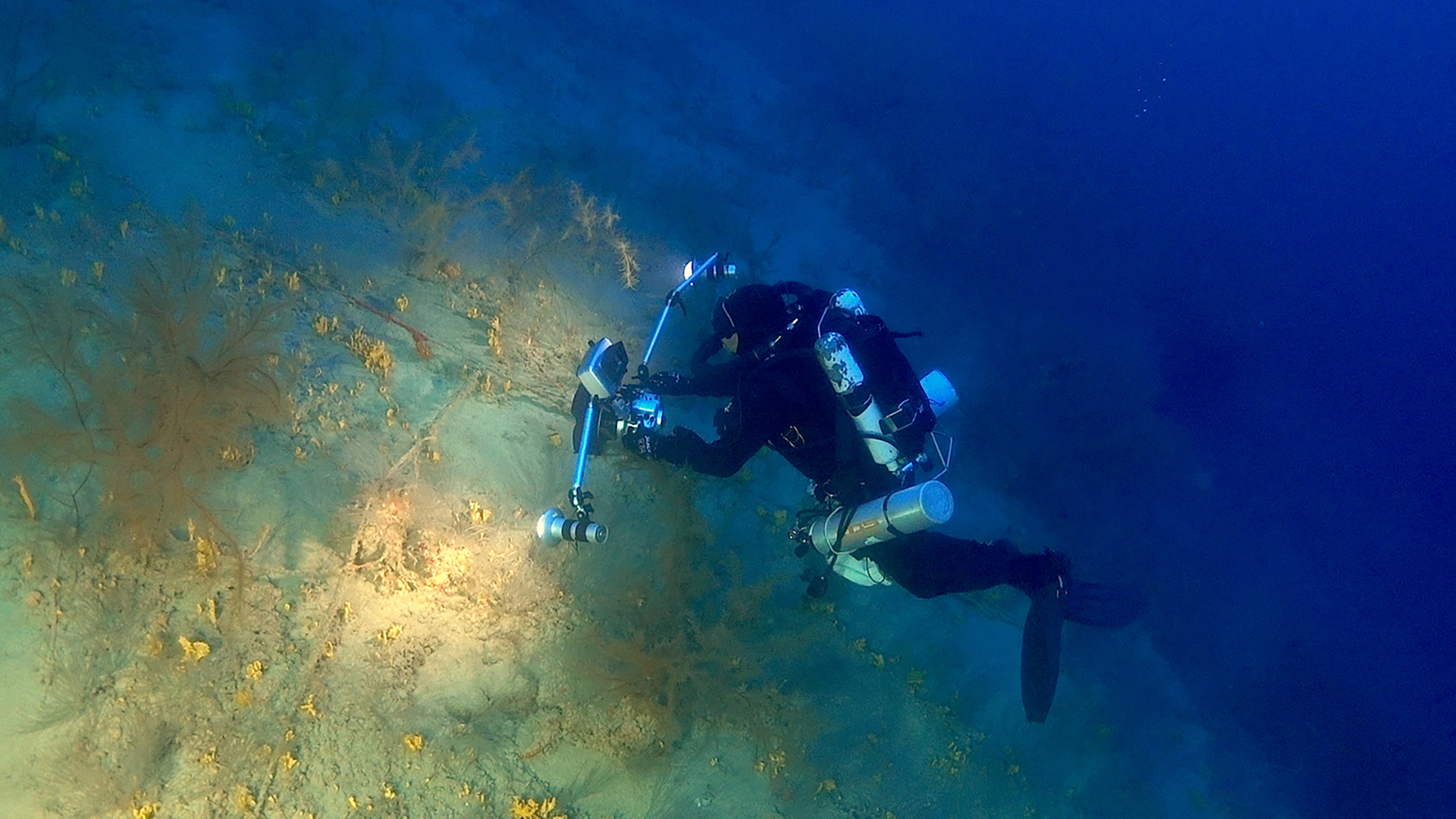 El cámara de Cousteau, Roberto Rinaldi, llevará a la RAI-1 italiana el bosque de coral negro submarino de Lanzarote